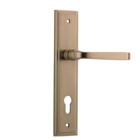 Iver Door Handle Annecy Stepped Euro Pair Brushed Brass