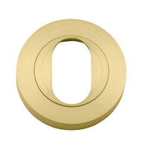 Iver Escutcheon Oval Round Pair Brushed Gold PVD