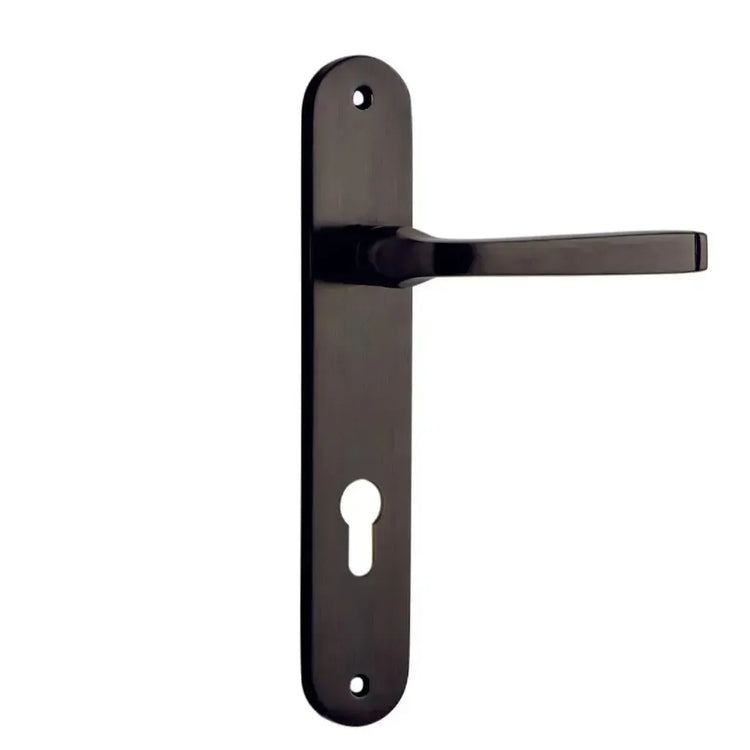 DOOR HANDLES - SIGNATURE BRASS
