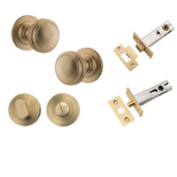 Iver Door Knob Paddington Round Rose Concealed Fix Brushed Brass Privacy Kit