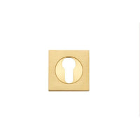 Iver Escutcheon Euro Concealed Fix Square Pair Brushed Brass