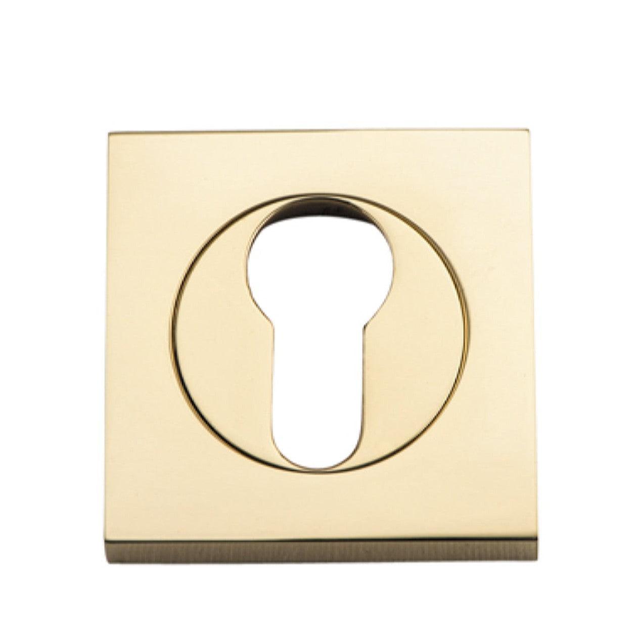 Iver Escutcheon Euro Concealed Fix Square Pair Polished Brass