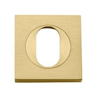 Iver Escutcheon Oval Square Pair Brushed Gold PVD
