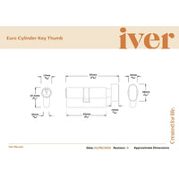 SDG Euro Cylinder Key Thumb 5 Pin Brushed Gold PVD L65mm