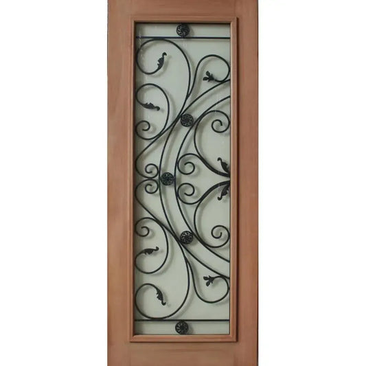 Solid Exterior Wrought Iron Door