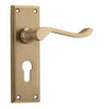 Tradco Door Handle Camden Euro Pair Satin Brass