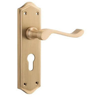Tradco Door Handle Henley Euro Pair Satin Brass