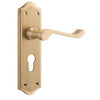 Tradco Door Handle Henley Euro Pair Satin Brass