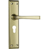 Tradco Door Handle Menton Euro Pair Polished Brass