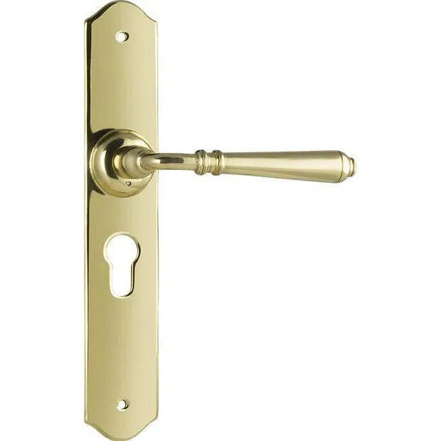 Tradco Door Handle Reims Euro Pair Polished Brass