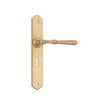 Tradco Door Handle Reims Lock Pair Satin Brass